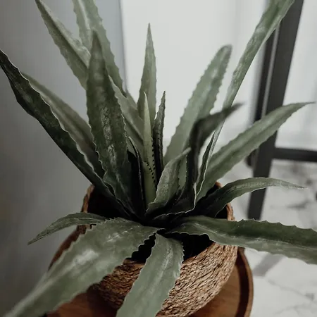 Prestige Lumineux Jacuzzi Parking Prive