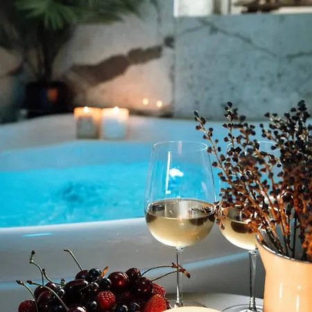 Prestige Lumineux Jacuzzi Parking Prive Mülhausen