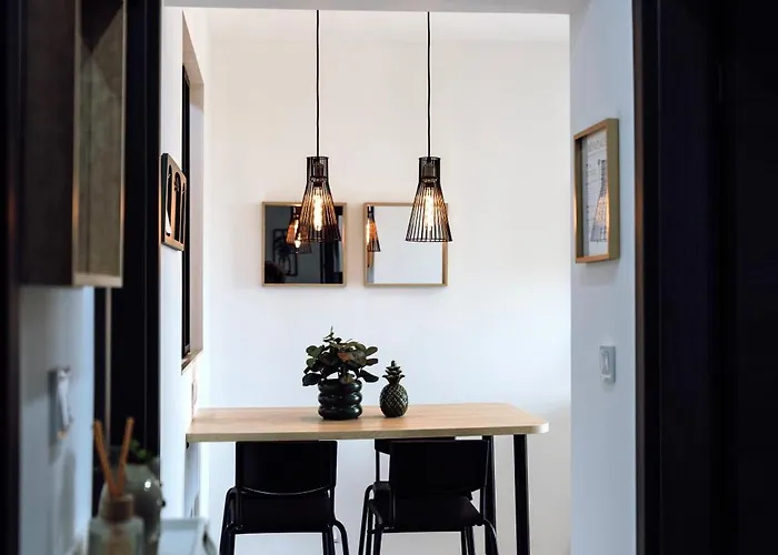 Prestige Lumineux Jacuzzi Parking Prive Appartement Mulhouse