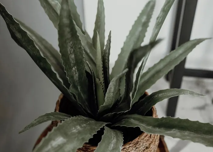 Prestige Lumineux Jacuzzi Parking Prive